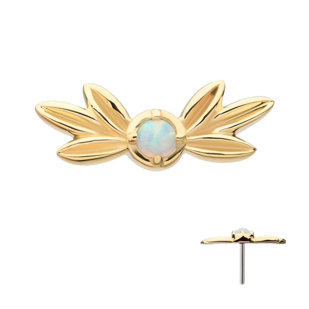 Siofra