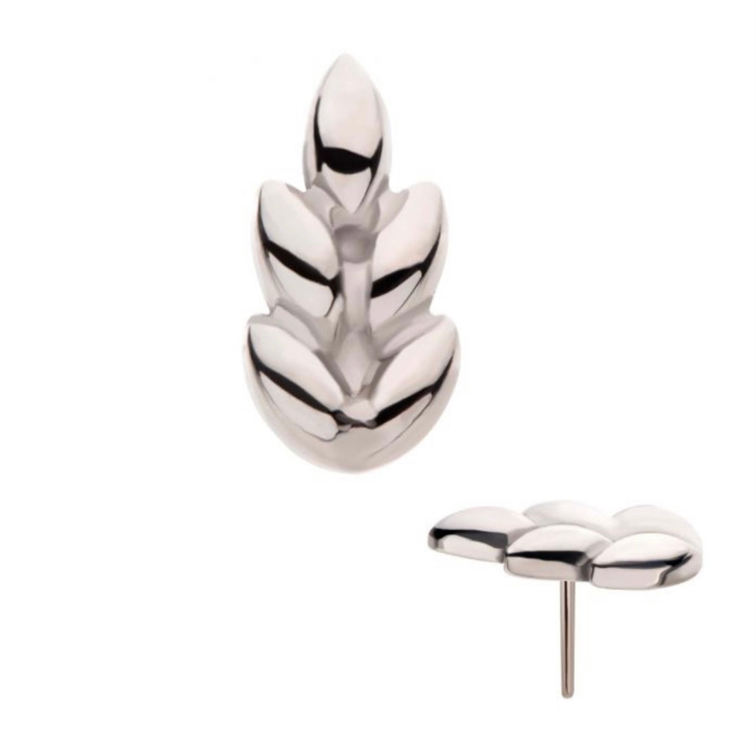 Titanium Leaf Top