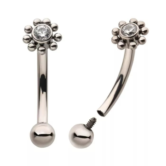 Penny Curved Barbell