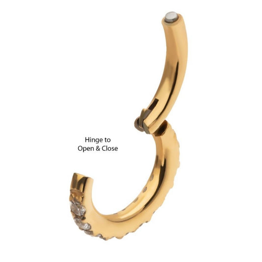 Oval Gold PVD Gem Hoop