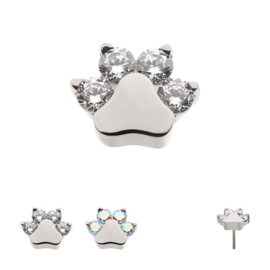 CZ Paw Top